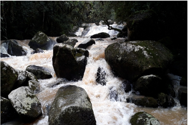Corredeiras do  Espigão das Antas
